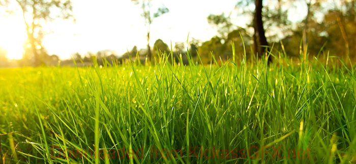 免费电话短信轰炸机